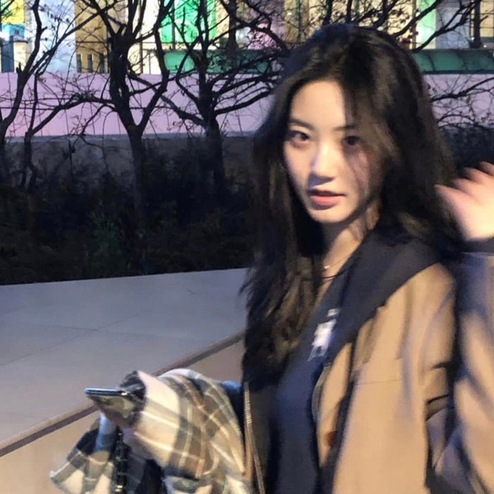 橄榄树下的情人